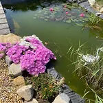Il Piccolo Castello Bed & Breakfast
